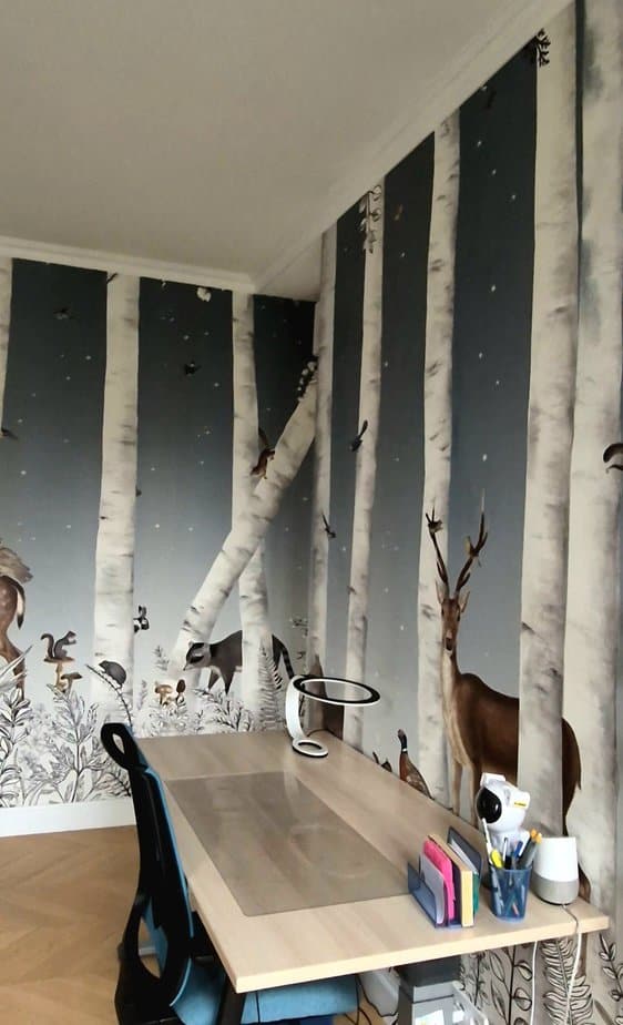 decoration olga chihai dusciac architecte interieur paris 16 chambre fille ado enfant